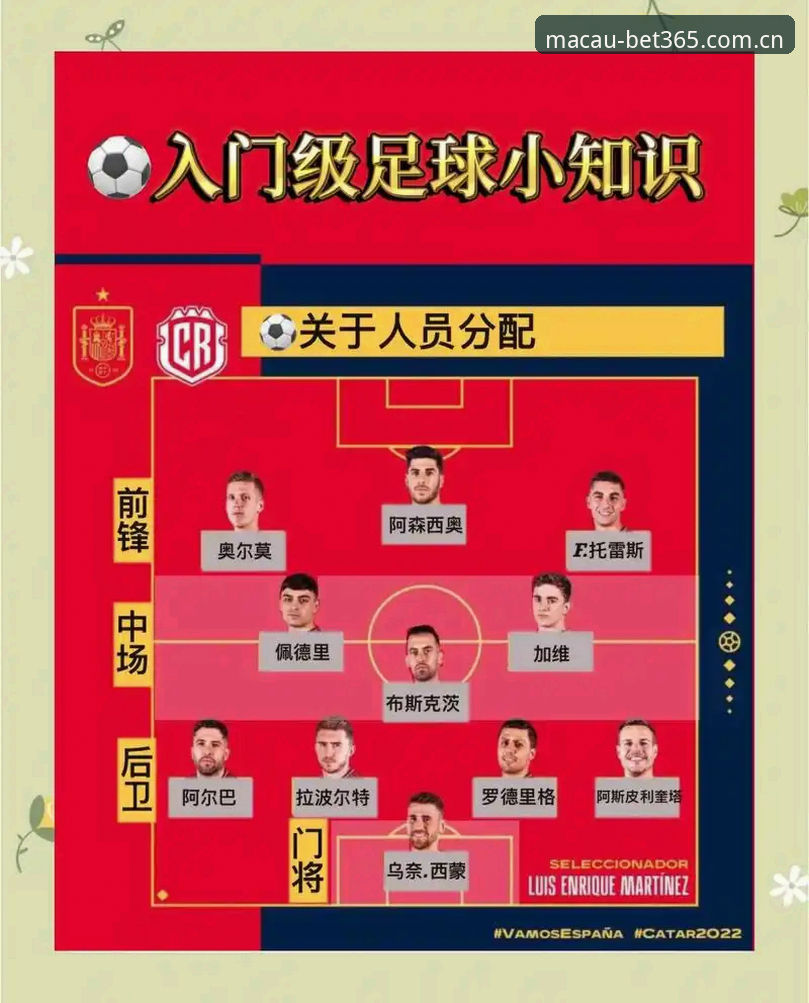 BET365体育赛事手机版 BET365体育赛事手机版实用指南:从新手到达人的必备知识